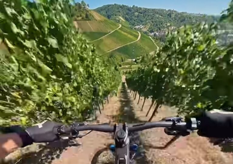 Ärger um Stuttgart-Star Johannes Fischbach vor dem  Downhill-Race – Was Red Bull dazu sagt