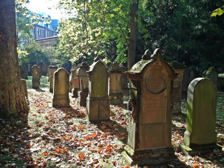 Hoppenlaufriedhof wird 400 Jahre alt: Wie aus einem Pest-Gottesacker eine grüne Oase wurde