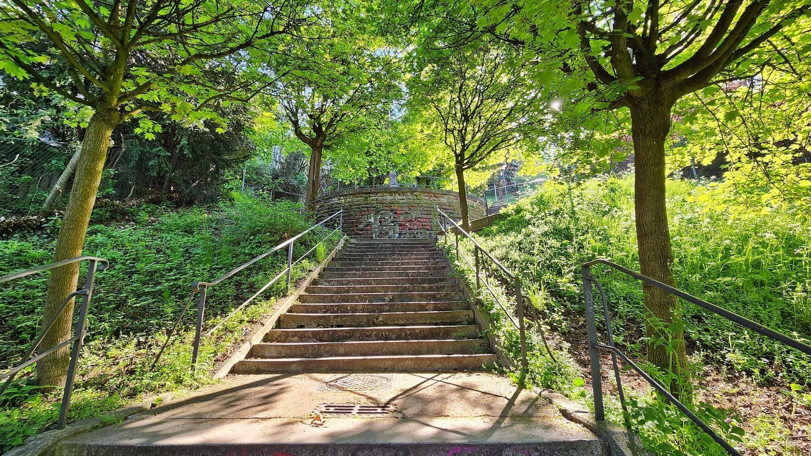 Die Sünderstaffel in Stuttgart-Mitte, eine Treppe zwischen Bäumen und Grün